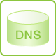 DNS レコード設定機能